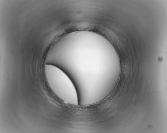 X0000092080690200709121106