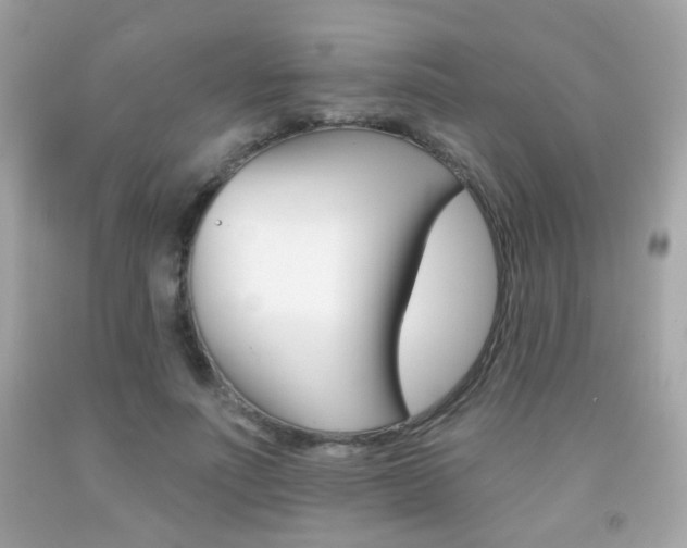 X0000092080691200709121106