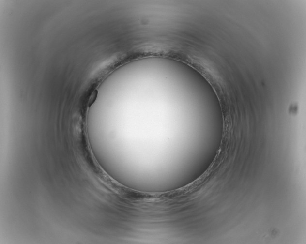 X0000092080692200709121106