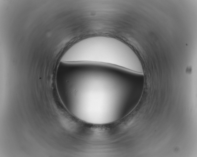 X0000092080693200709121106