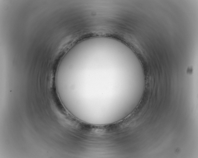 X0000092080694200709121106