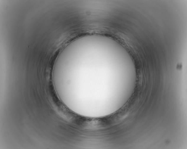 X0000092080695200709121106