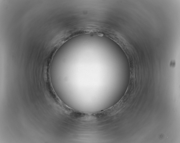 X0000092080696200709121106