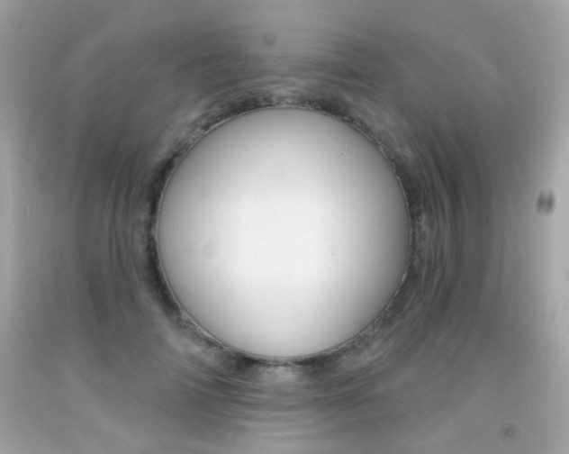 X0000092080698200709121106