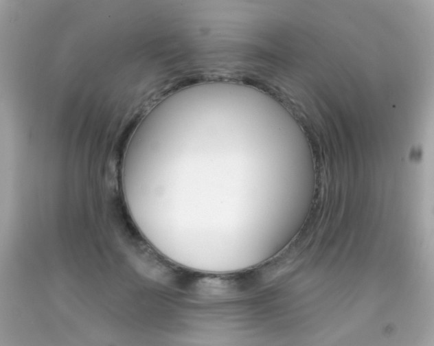 X0000092080699200709121106