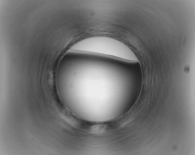 X0000092080700200709121106