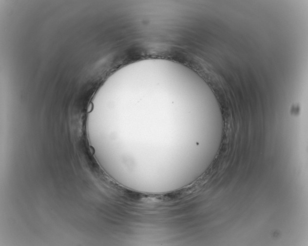 X0000092080703200709121106