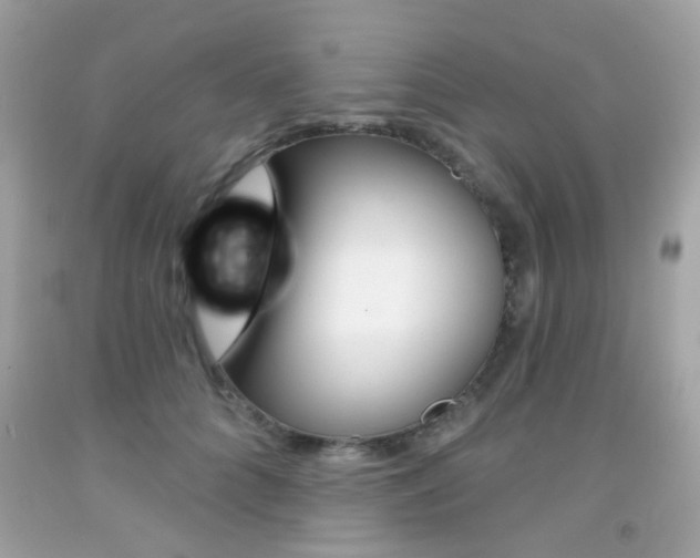 X0000092080704200709121106