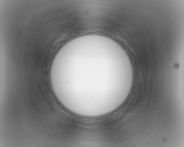 X0000092080705200709121106