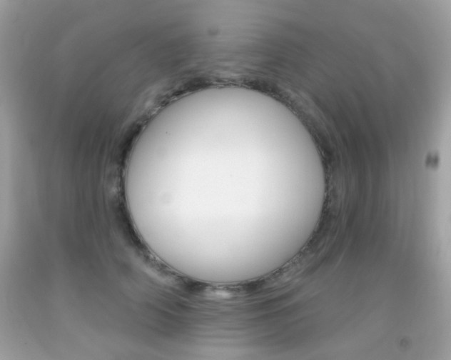 X0000092080706200709121106