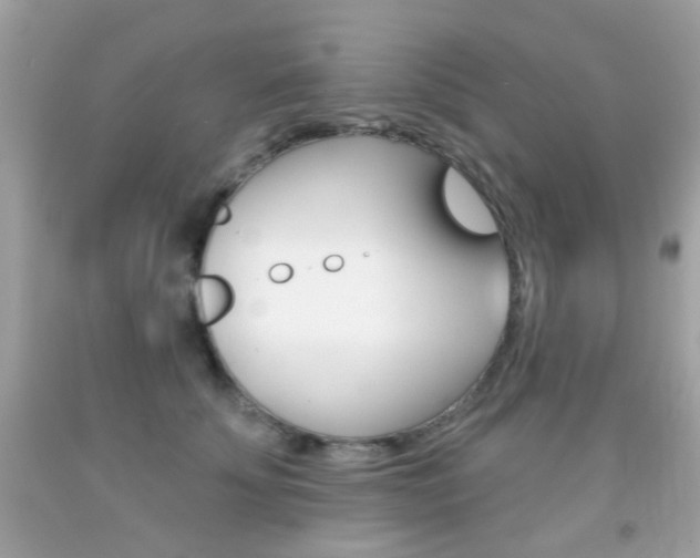 X0000092080707200709121106