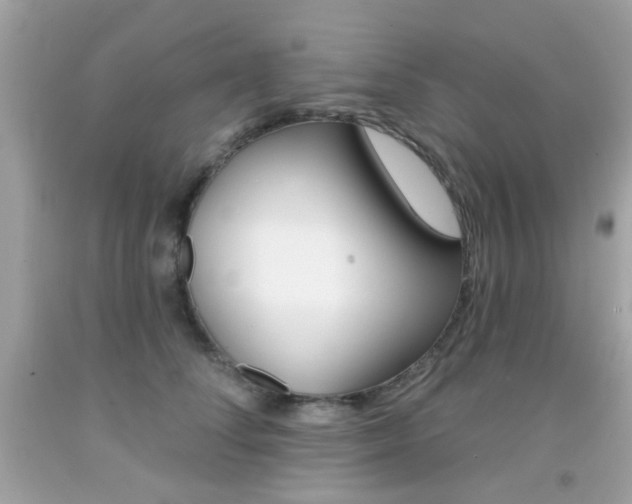 X0000092080708200709121106
