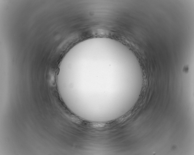 X0000092080709200709121106