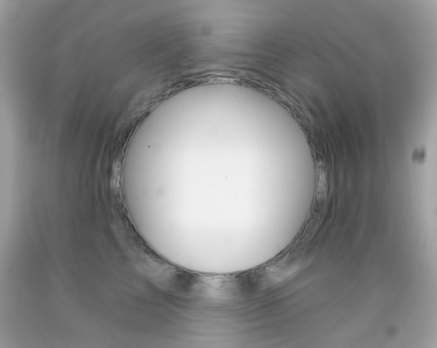 X0000092080713200709121106