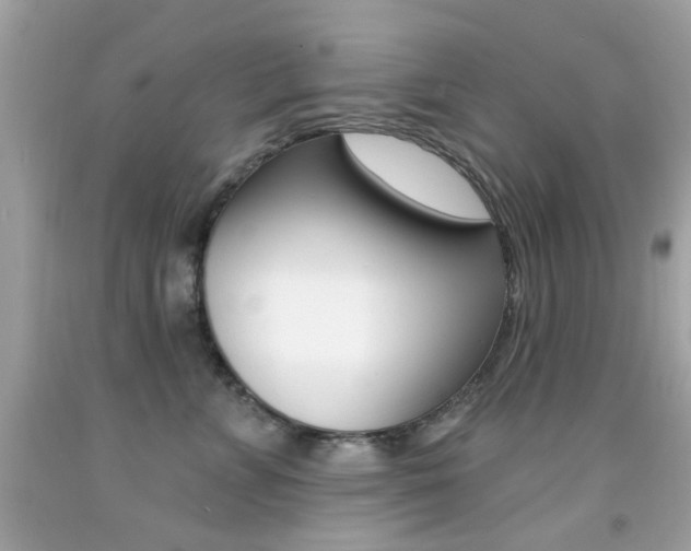 X0000092080715200709121106