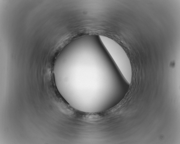 X0000092080716200709121106