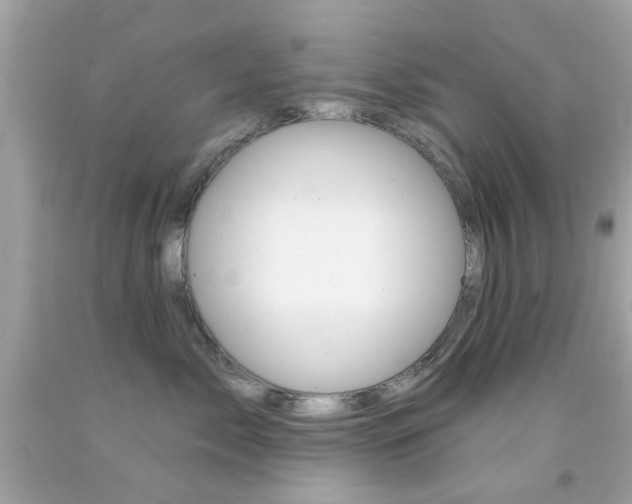 X0000092080717200709121106