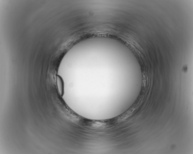 X0000092080718200709121106