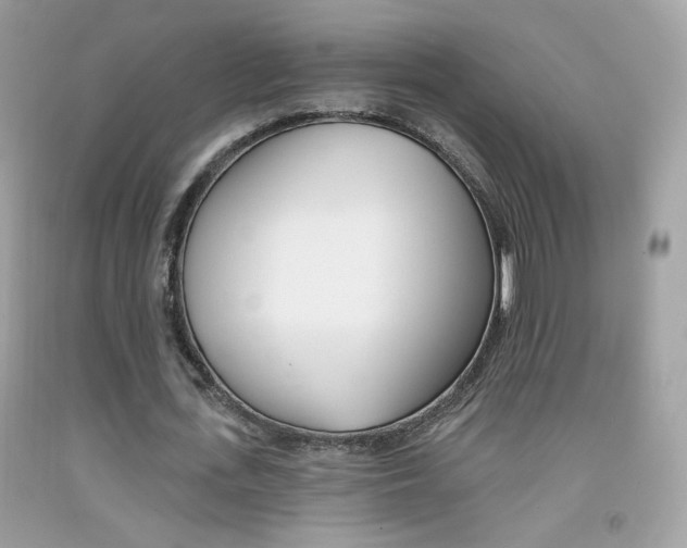 X0000092080723200709121105