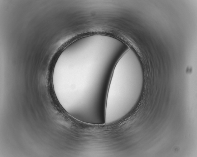 X0000092080724200709121105
