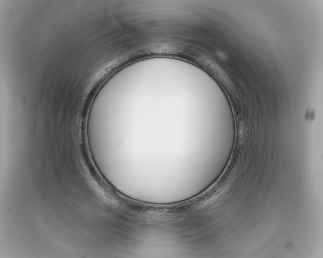 X0000092080725200709121105