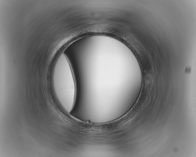 X0000092080727200709121105