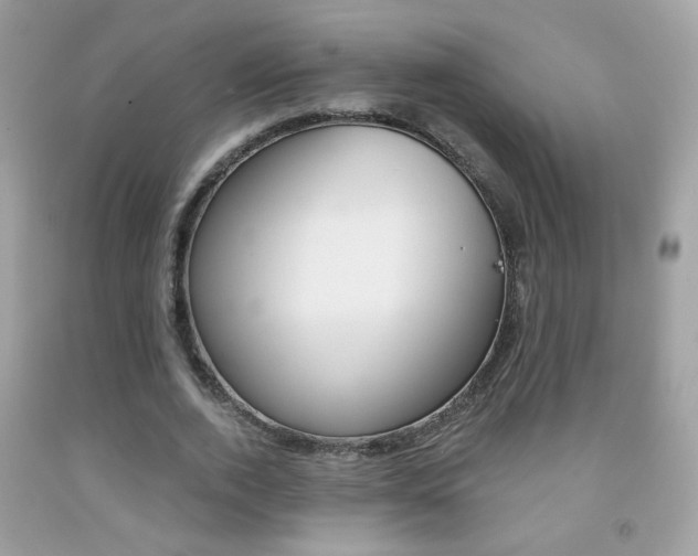 X0000092080728200709121105