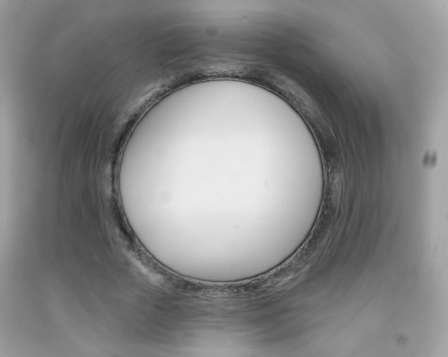 X0000092080729200709121105
