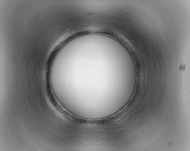 X0000092080730200709121105
