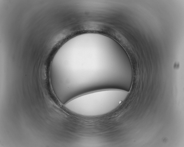 X0000092080731200709121105