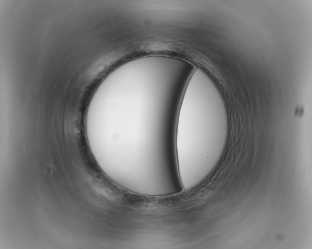 X0000092080732200709121105
