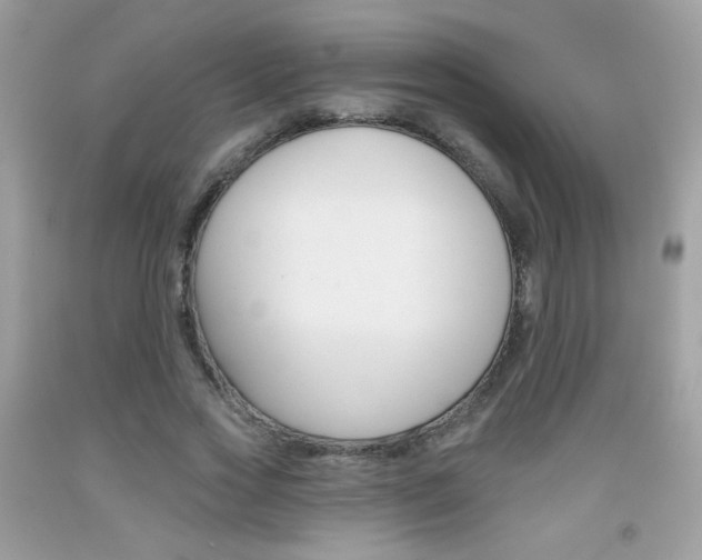 X0000092080733200709121105