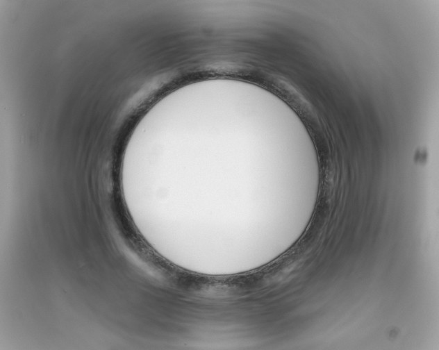 X0000092080734200709121105
