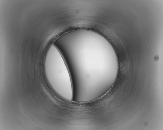 X0000092080735200709121105