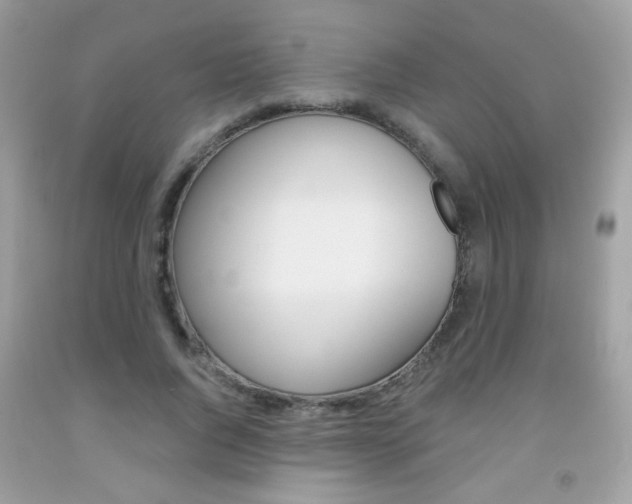 X0000092080736200709121105