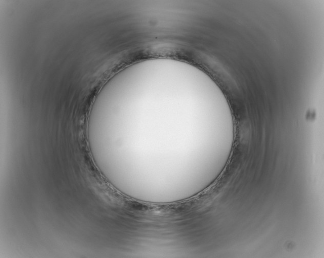 X0000092080737200709121105