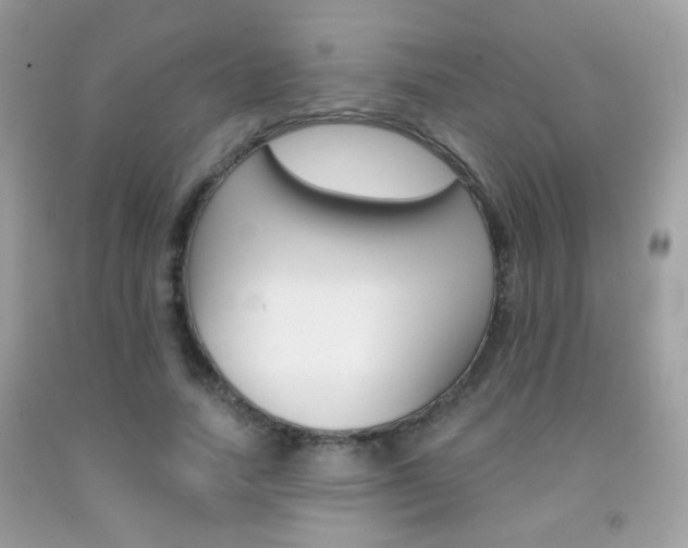 X0000092080738200709121105
