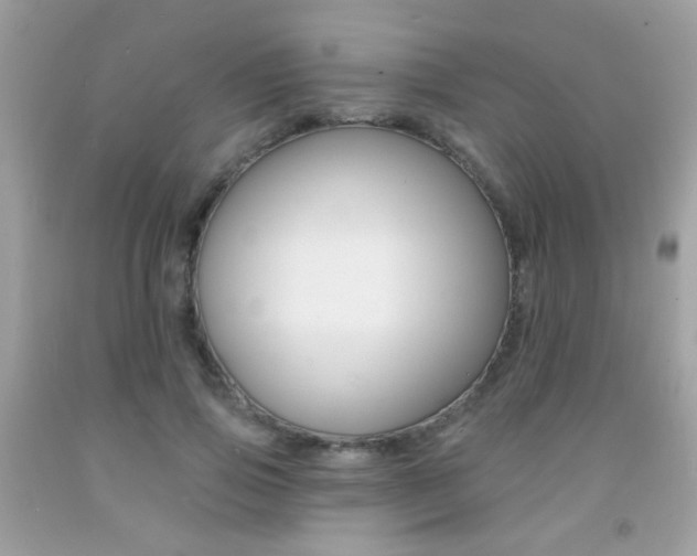 X0000092080741200709121105