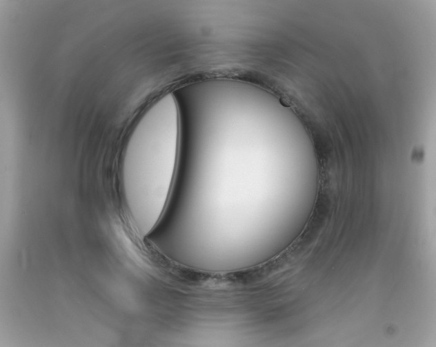 X0000092080742200709121105
