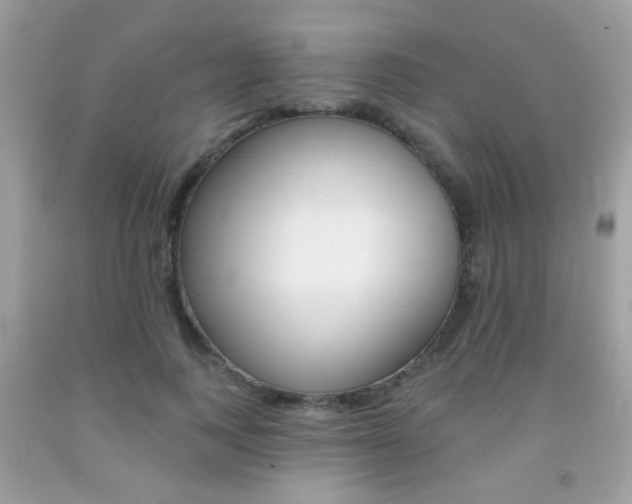 X0000092080743200709121105