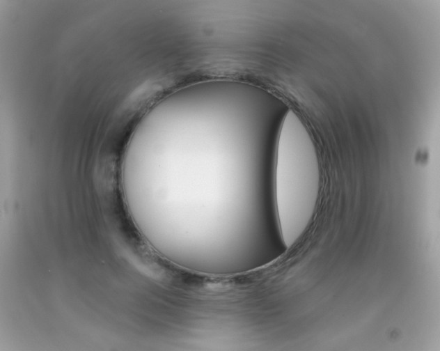 X0000092080744200709121105
