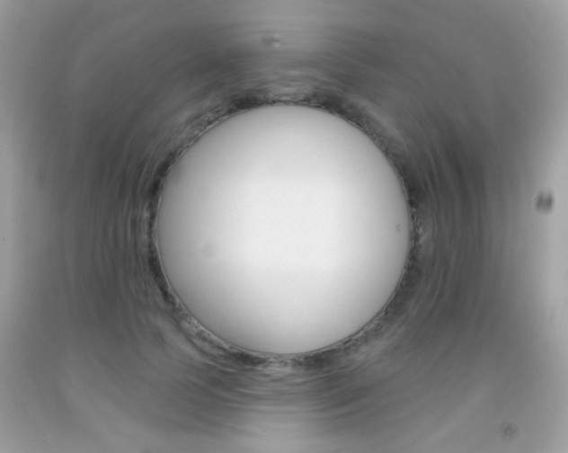 X0000092080745200709121105