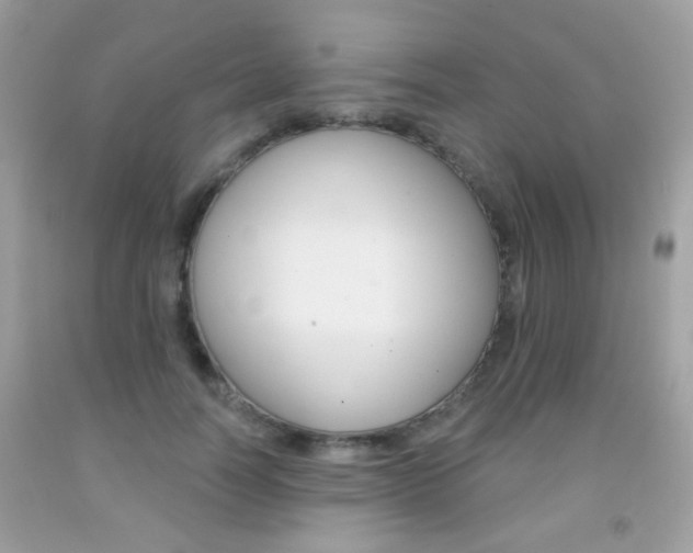 X0000092080746200709121105
