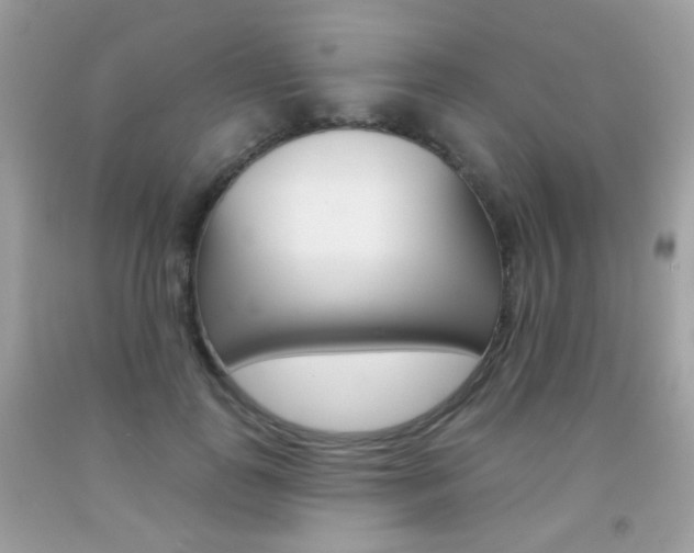 X0000092080747200709121105