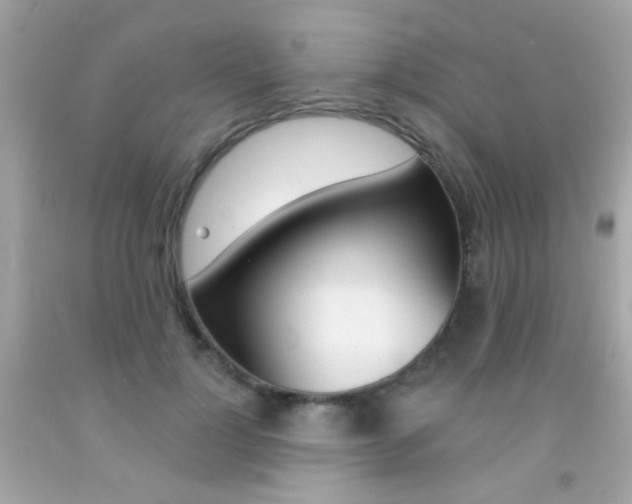 X0000092080748200709121105