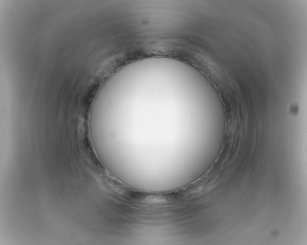 X0000092080749200709121105