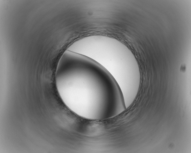 X0000092080750200709121105