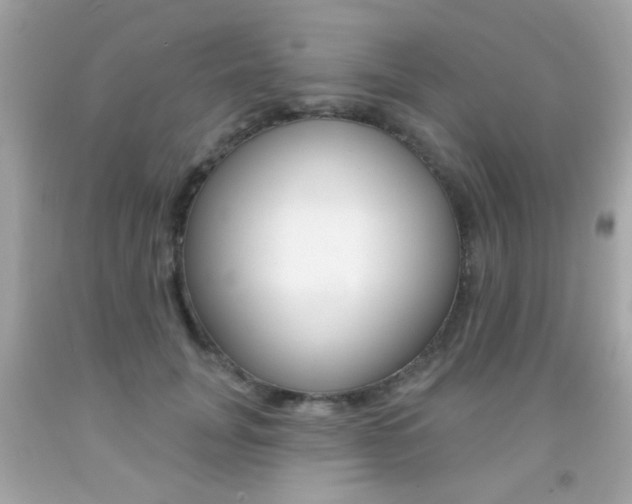 X0000092080751200709121105