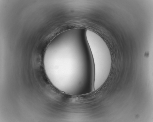 X0000092080752200709121105