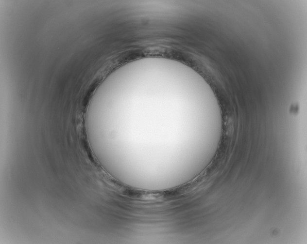X0000092080753200709121105